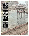 少女被世界所爱(西幻np)